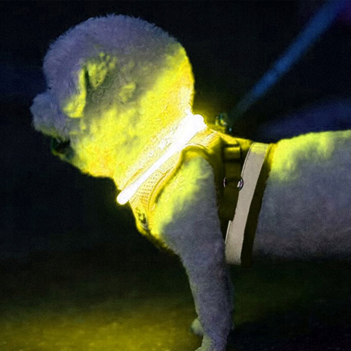 Obojok pre psa s LED podsvietením - nabíjateľný